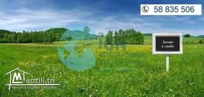 terrain a vendre a hammam sousse