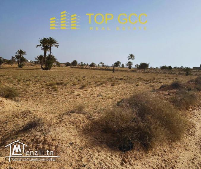 Terrain a vendre  Ajim Djerba Dar El bidha