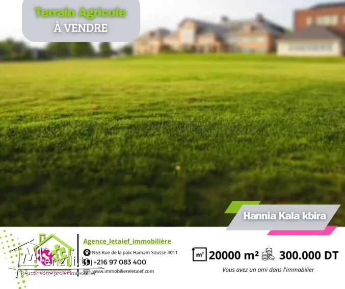 TerrainAgricolede#20000m²HanniaKalakbira