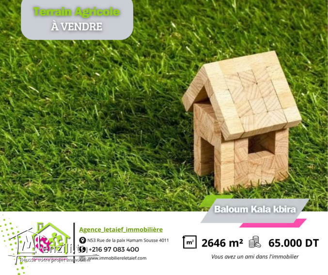 Terrain  Agricole de 20000m²  Kalakbira