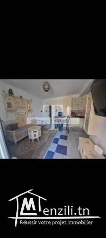 Appartement S1 à Soviva