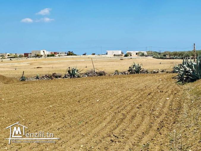 un terrain à bouficha à 12 mille