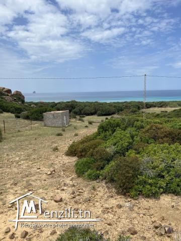 للبيع منزل كبير بالزهروني