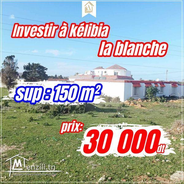150 m² à vendre 94.045.019
