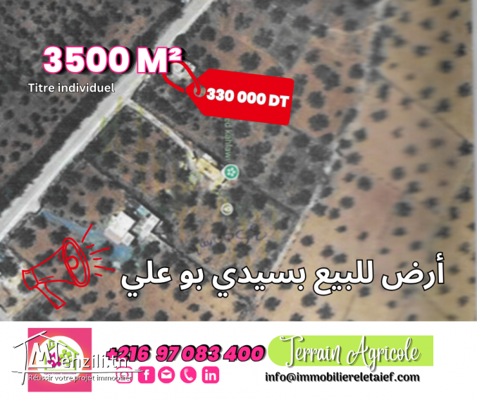 Terrain de 3500m² a Sidi BouAli