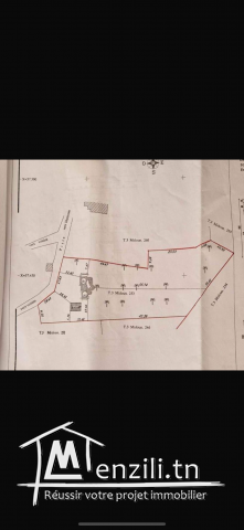 Terrain djerba khazroune à vendre  titre bleu