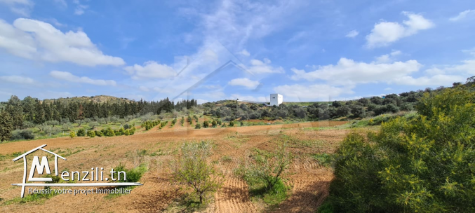 AV Ferme à Sidi Thabet