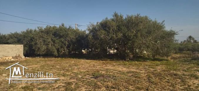 Un terrain situé à Djerba tezdain zone touristique