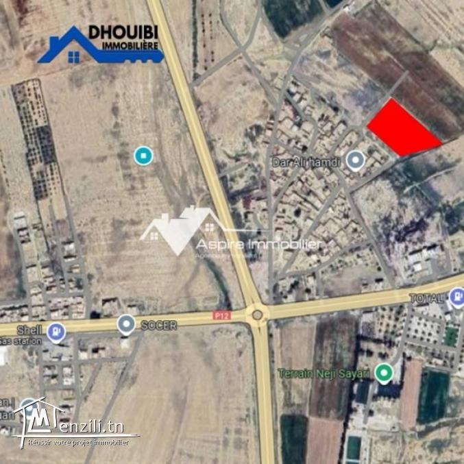 vente de terrains résidentiels à Kairouan-800 mètres de l'intersection Sousse-Kairouan