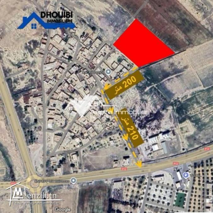 vente de terrains résidentiels à Kairouan-800 mètres de l'intersection Sousse-Kairouan