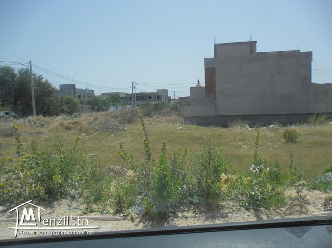 Terrain 350 m2 menzel bourguiba