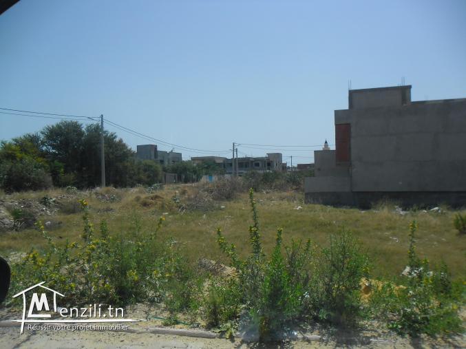 Terrain 350 m2 menzel bourguiba