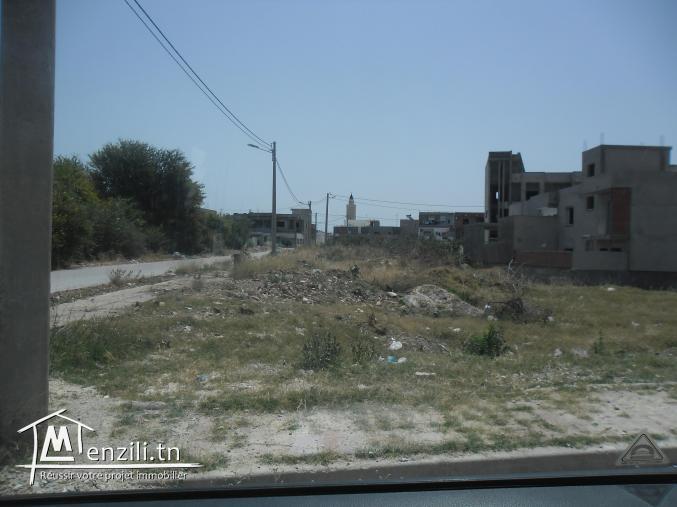 Terrain 350 m2 menzel bourguiba