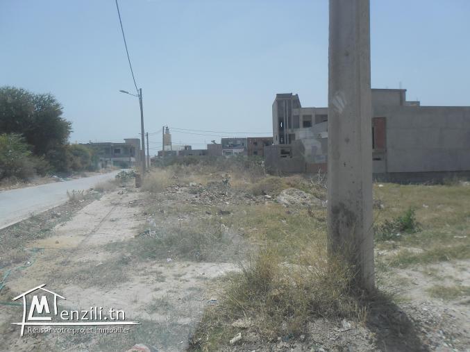 Terrain 350 m2 menzel bourguiba