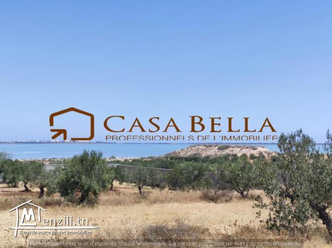 Terrain à vendre à Chott Meriem