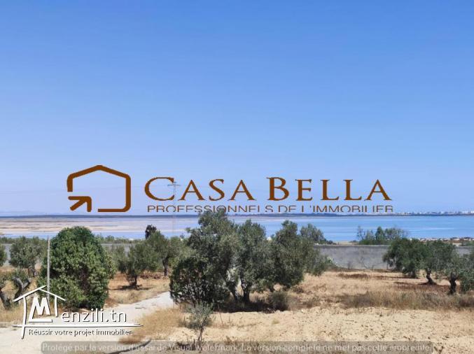 Terrain à vendre à Chott Meriem