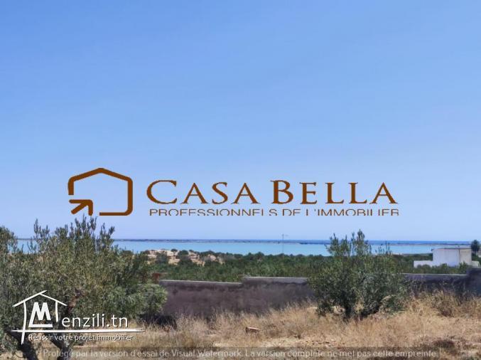 Terrain à vendre à Chott Meriem