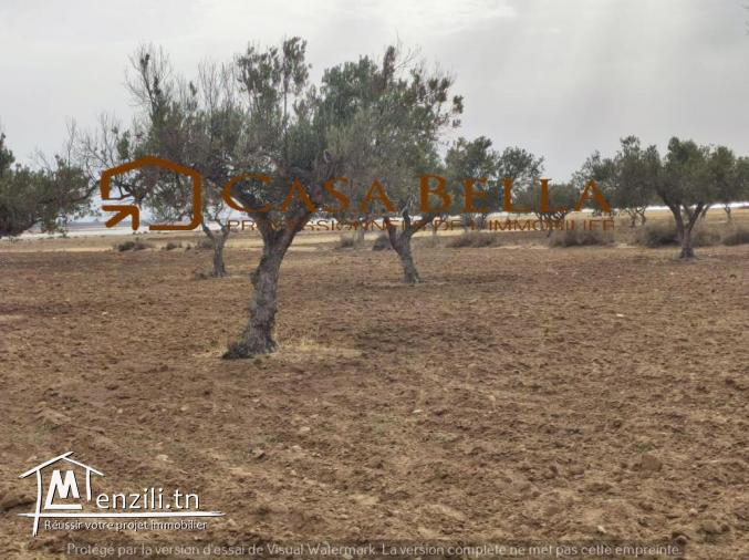 Terrain de 16630 m²  à vendre à Hergla