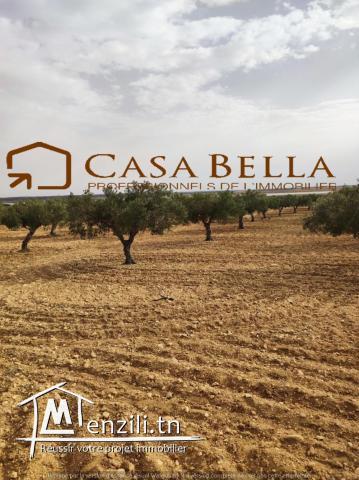 Terrain de 16630 m²  à vendre à Hergla