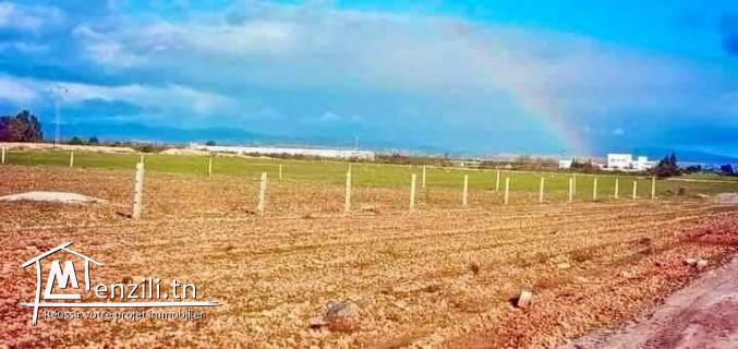 terrain de 150 m2 a vendre