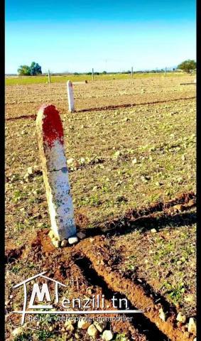 terrain de 150 m2 a vendre