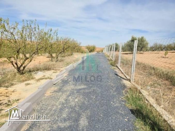 Terrain de 2 hectares à Bourj Toumi