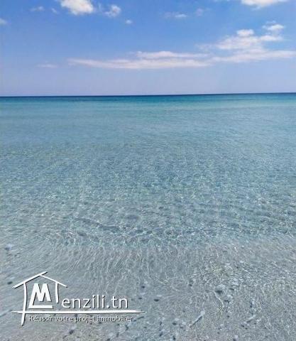 nouvel investissement immobilier