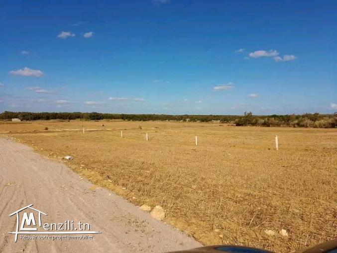Terrain de 200 m2 a Klebia