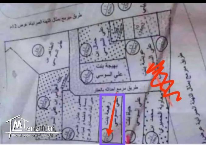 للبيع: قطعة أرض مميزة في قلب مدينة منزل بوزلفة