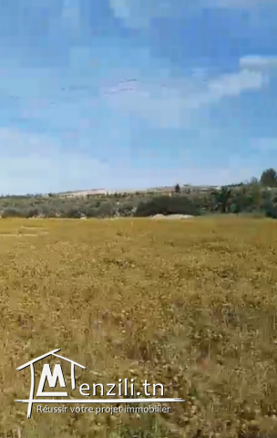 Terrain exceptionnel à Mnihla, Tunis