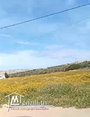 Terrain exceptionnel à Mnihla, Tunis