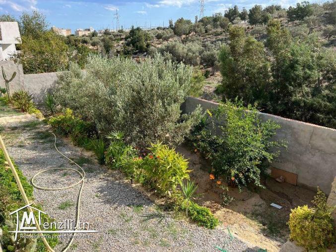 V490 Maison DIA DIA HAMMAMET