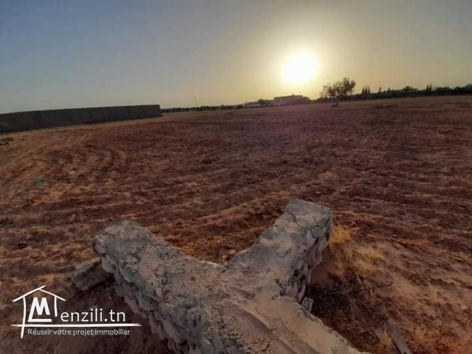 طعتين ارض للبيع في صفاقس طريق المطار  كم 11