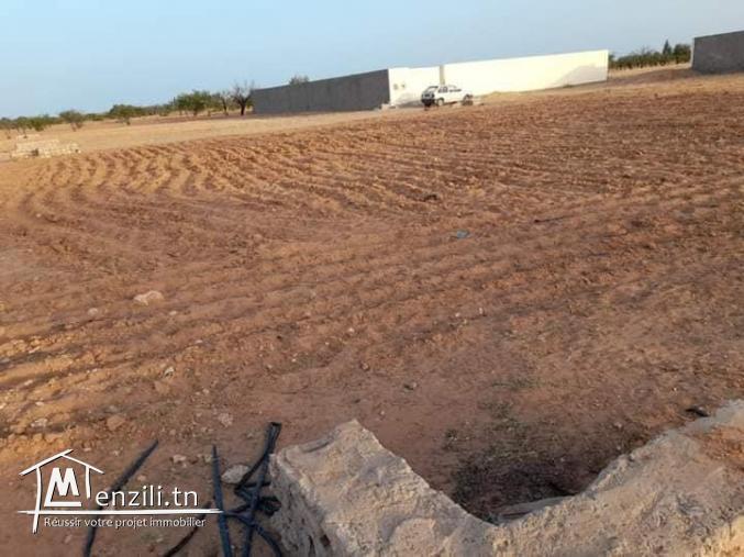 طعتين ارض للبيع في صفاقس طريق المطار  كم 11