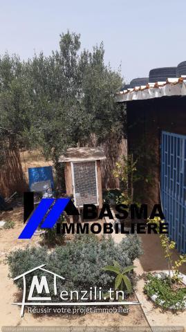 Une maison de compagne à vendre située à Foukaiya chatt meriem