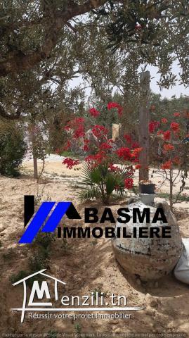 Une maison de compagne à vendre située à Foukaiya chatt meriem