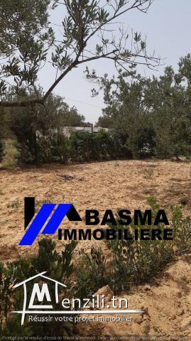 Une maison de compagne à vendre située à Foukaiya chatt meriem