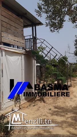 Une maison de compagne à vendre située à Foukaiya chatt meriem