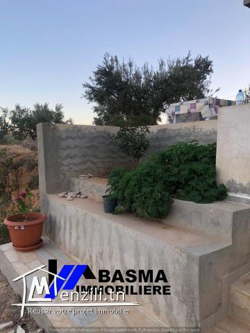 Une maison de compagne à vendre située à kalaa kbira