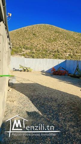 une ferme de 45 hct sise a mateur a vendre