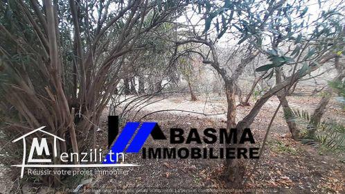 Une villa à vendre située à chat mariem