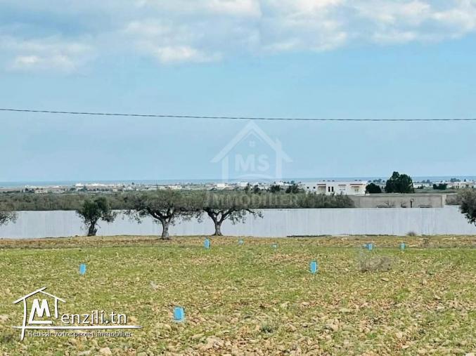 Terrains vue de mer à Sidi Mtir à vendre 51355351