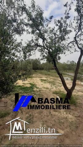 Une maison de compagne inachevée à vendre située à kalaa kbira