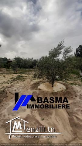 Une maison de compagne inachevée à vendre située à kalaa kbira