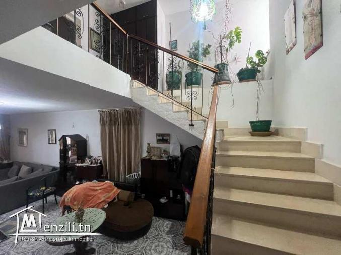 V507 Duplex BLUE DUPLEX