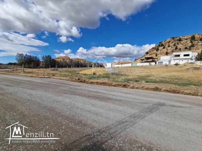 قطعة أرض صبغة سكنية للبيع في الحمامات الجنوبية 51355351