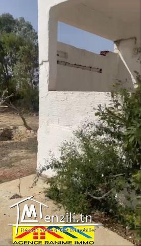 Terrain agricole de 1494,5m2 a el haouaria cap bon