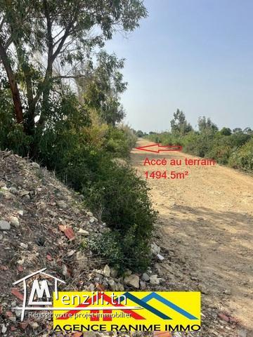 Terrain agricole de 1494,5m2 a el haouaria cap bon