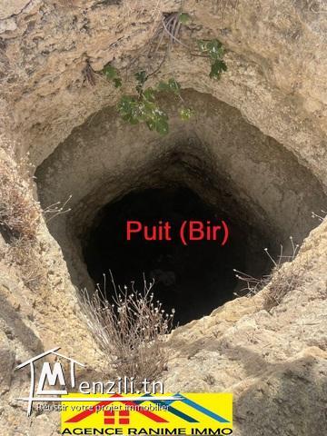 Terrain agricole de 1494,5m2 a el haouaria cap bon