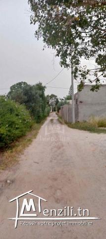 Lot de terrain de 500 m² à Hammamet Sud